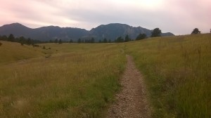 WP_20150826_16_54_30_Pro