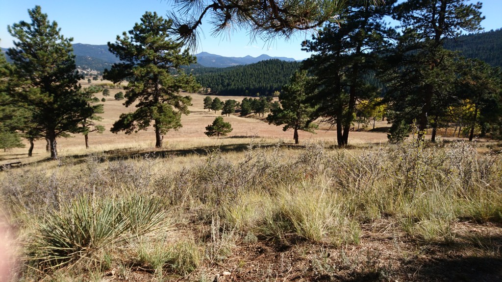 Look through the lens to find yourself